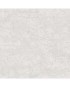 Papier peint Vinyle Oxyde Lierre Blanc Irisé - 53x1005 cm