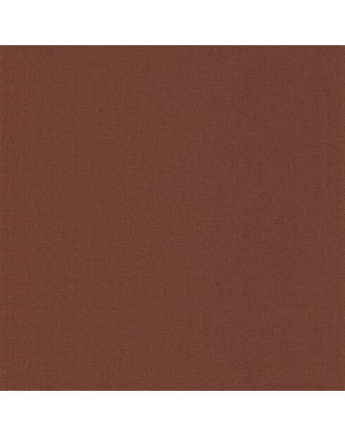 Papier peint Aleph Terracotta - 53x1005 cm