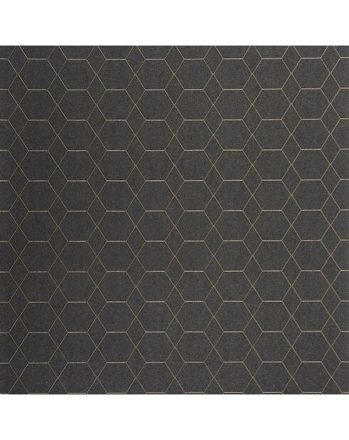 Papier peint Pytheas Noir - 53x1005 cm