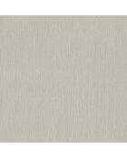 Papier peint Ebène Beige - 53x1005 cm