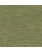 Papier peint Vinyle Shinok Vert Mousse - 70x1005 cm