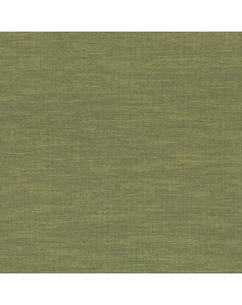 Papier peint Vinyle Shinok Vert Mousse - 70x1005 cm