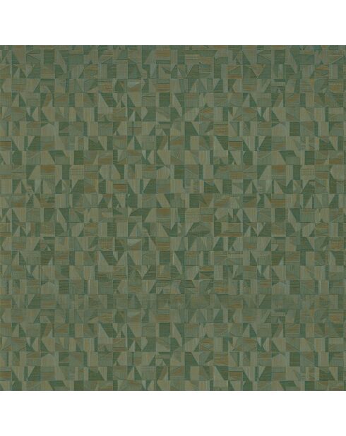 Papier peint Vinyle Tiznit Vert - 70x1005 cm