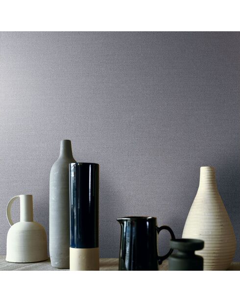 Papier peint Plumetis Gris - 70x1005 cm