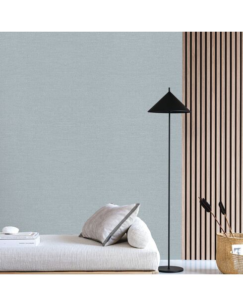 Papier peint Plumetis Vert D Eau - 70x1005 cm
