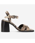 Sandales à talon en Cuir python beiges - Talon 7.5 cm