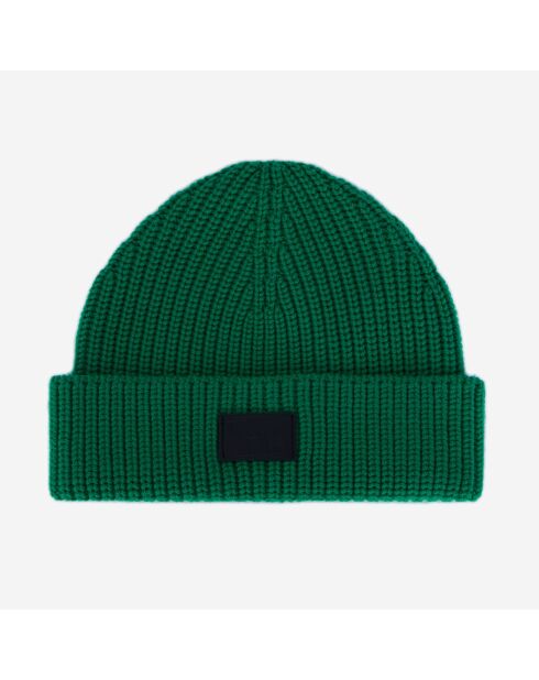 Bonnet en Laine tricotée vert