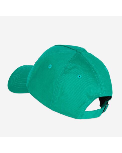 Casquette Qu'est-ce que la verte