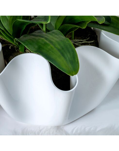 Vase Drappeggi Big  blanc - 45x47xH27 cm