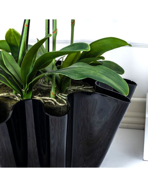 Vase Drappeggi Big  noir - 45x47xH27 cm