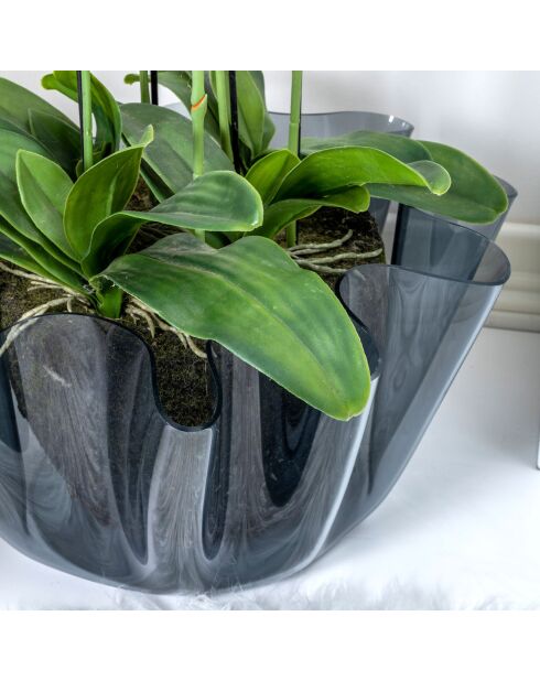 Vase Drappeggi Big  fumé - 45x47xH27 cm