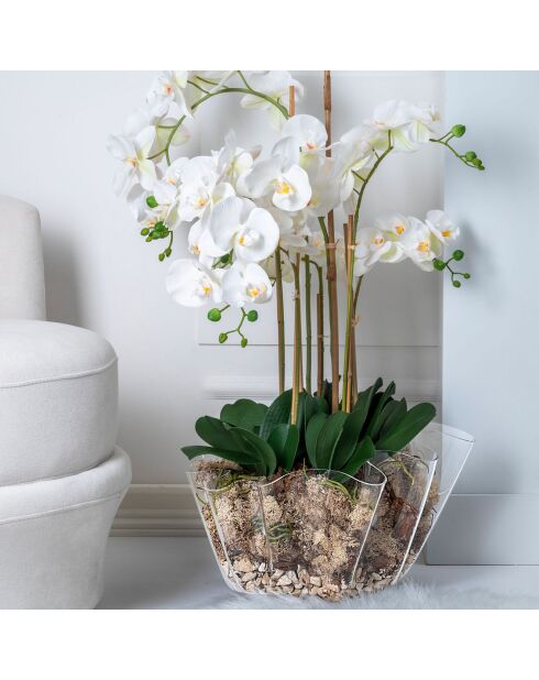 Vase Drappeggi Big  transparent - 45x47xH27 cm