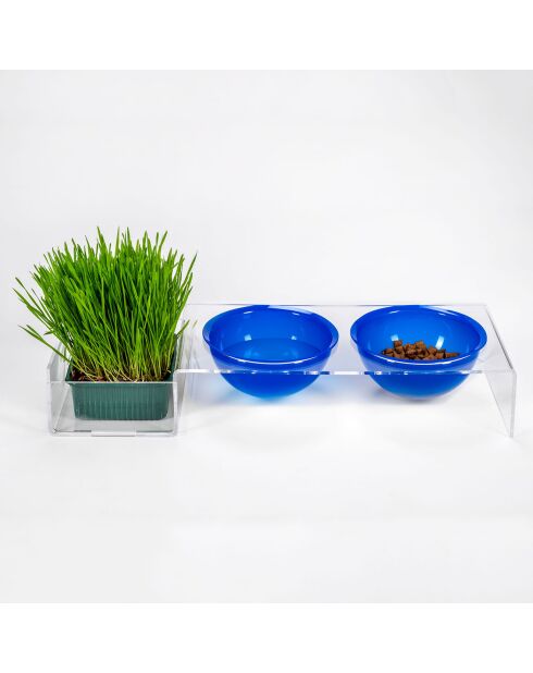 Gamelle I-Pet transparent/bleu - 52x19xH9 cm