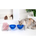 Gamelle I-Pet transparent/bleu - 52x19xH9 cm