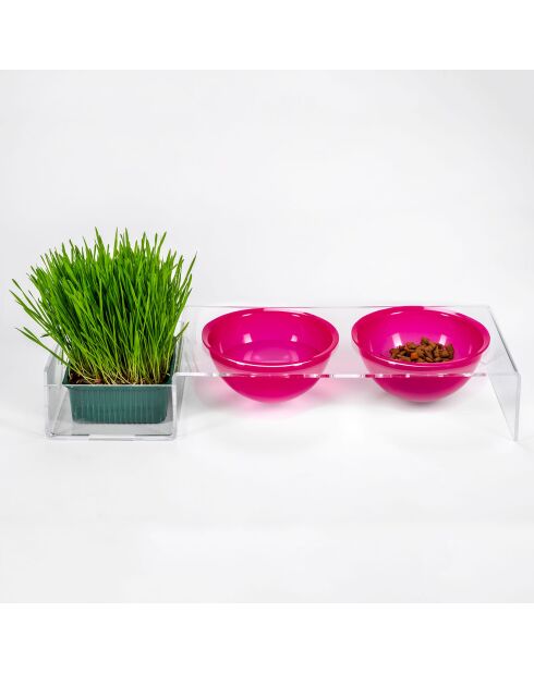 Gamelle I-Pet transparent/fuchsia - 52x19xH9 cm