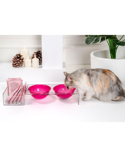 Gamelle I-Pet transparent/fuchsia - 52x19xH9 cm