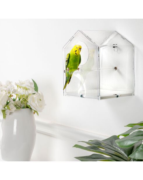 Nichoir à oiseaux I-Pet transparent - 16x20xH20 cm
