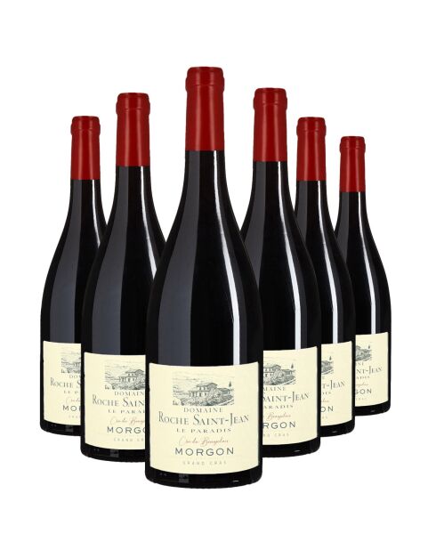 6 Morgon Le Paradis Grand Cras 2024 Dom. de Roche St-Jean 6x75cl