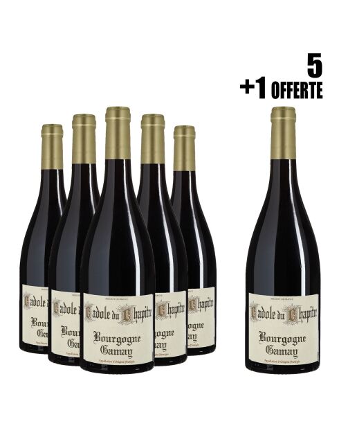1 Lot de 5 Bourgogne Gamay 2023 Cadole du Chapitre + 1 OFFERTE 6x75cl
