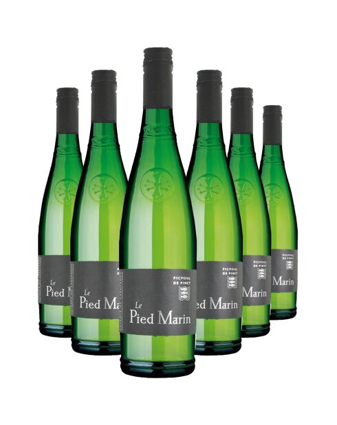 6 Picpoul de Pinet Le Pied Marin 2024 J.M Aujoux 6x75cl