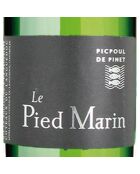 6 Picpoul de Pinet Le Pied Marin 2024 J.M Aujoux 6x75cl