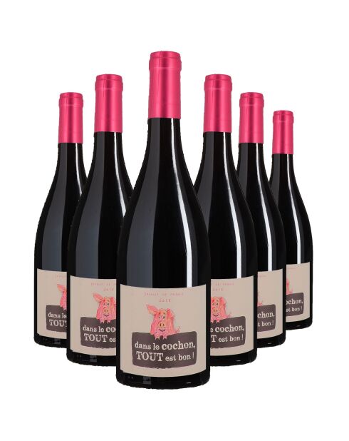 6 Beaujolais Villages Dans le Cochon Tout est Bon 2018 J. Dépagneux 6x75cl