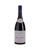 6 Saint-Joseph 2023 Dom. Rochevine 6x75cl