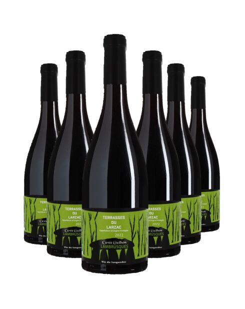 6 Terrasses-du-Larzac Cuvée Guilhem 2022 Dom. des Lambrusques 6x75cl