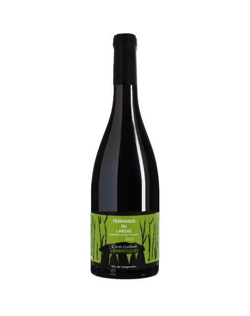 6 Terrasses-du-Larzac Cuvée Guilhem 2022 Dom. des Lambrusques 6x75cl