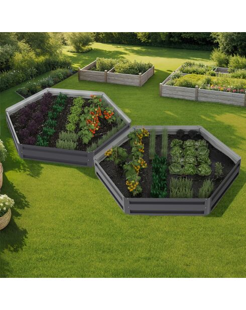 2 Carrés de potager hexagonaux en métal 120 cm gris anthracite