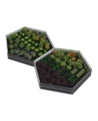 2 Carrés de potager hexagonaux en métal 120 cm gris anthracite