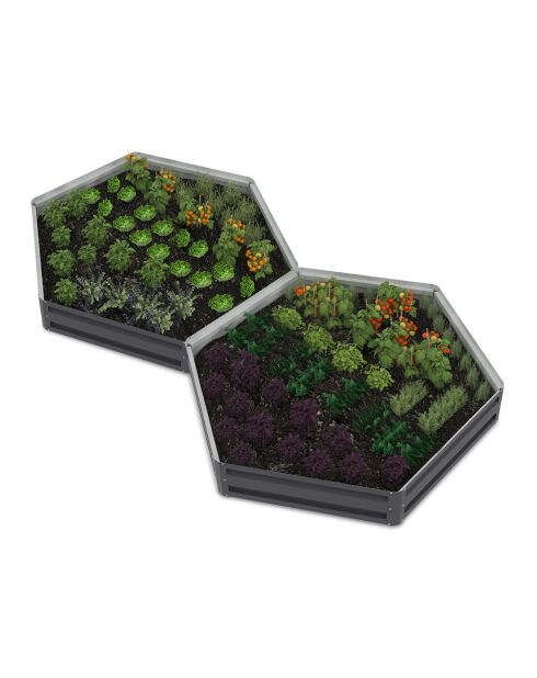 2 Carrés de potager hexagonaux en métal 120 cm gris anthracite