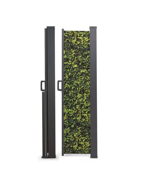 Paravent rétractable occultant 400x180cm motif feuillage imprimé feuillage