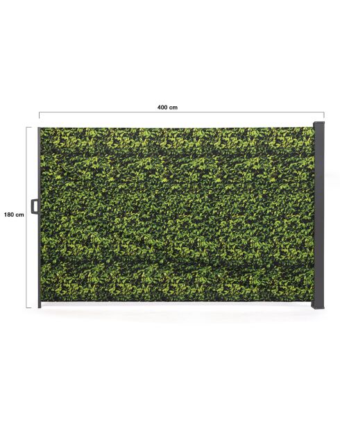 Paravent rétractable occultant 400x180cm motif feuillage imprimé feuillage