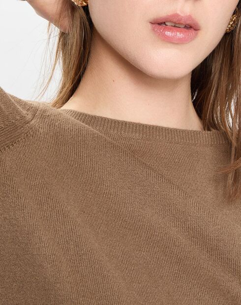 Pull en Coton, Laine & Alpaga  mélangés Basique marron