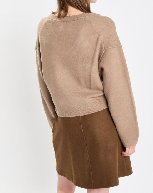 Pull en Laine mélangée col V marron clair