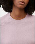 Pull en Laine mélangée manches raglans violet clair