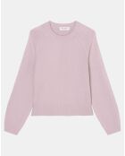 Pull en Laine mélangée manches raglans violet clair