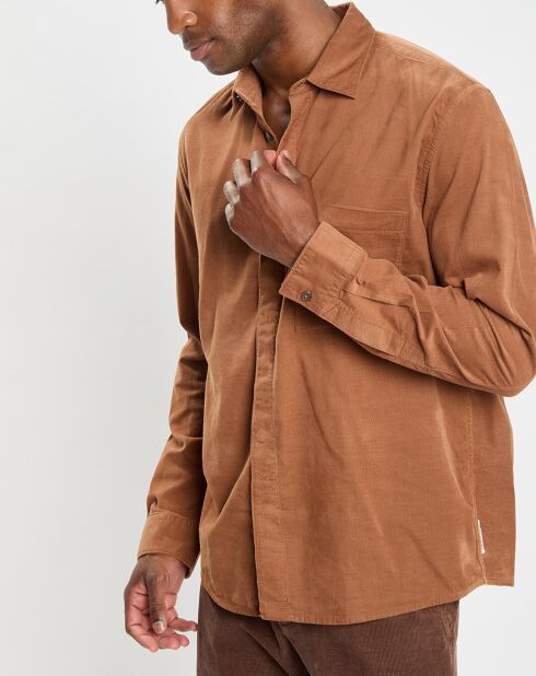 Chemise Regular Fit en Velours milleraies marron