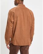 Chemise Regular Fit en Velours milleraies marron
