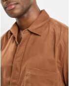 Chemise Regular Fit en Velours milleraies marron