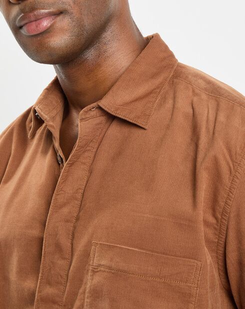 Chemise Regular Fit en Velours milleraies marron