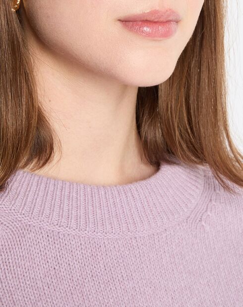 Pull en Laine mélangée violet clair