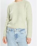 Pull en Coton, Laine & Alpaga mélangés Mouline vert clair
