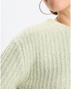 Pull en Coton, Laine & Alpaga mélangés Mouline vert clair