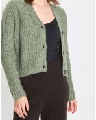 Gilet en Coton, Laine & Alpaga mélangés grosse maille chiné vert foncé