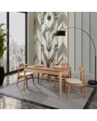 Table extensible + 4 Chaises Albero naturelles