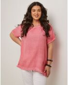Top Zipo rose
