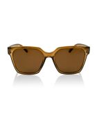 Lunettes de soleil Modish marron