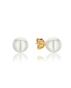 Set Boucles d'oreilles Diane en Acier & Perle de coquillage doré